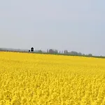 Fewo-hiddenseeblick